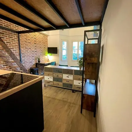 Apartment Cocooning & Modern Duplex Center Carabacel