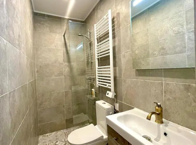 Cocooning & Modern Duplex Center Carabacel * Nice