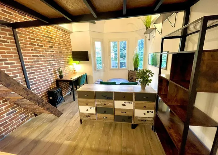 Cocooning & Modern Duplex Center Carabacel *