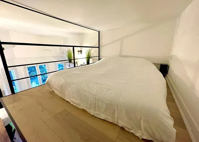 Cocooning & Modern Duplex Center Carabacel Nice